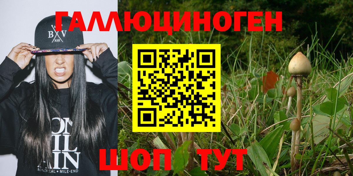 Галлюциногенные грибы Cubensis Славянск-на-Кубани
