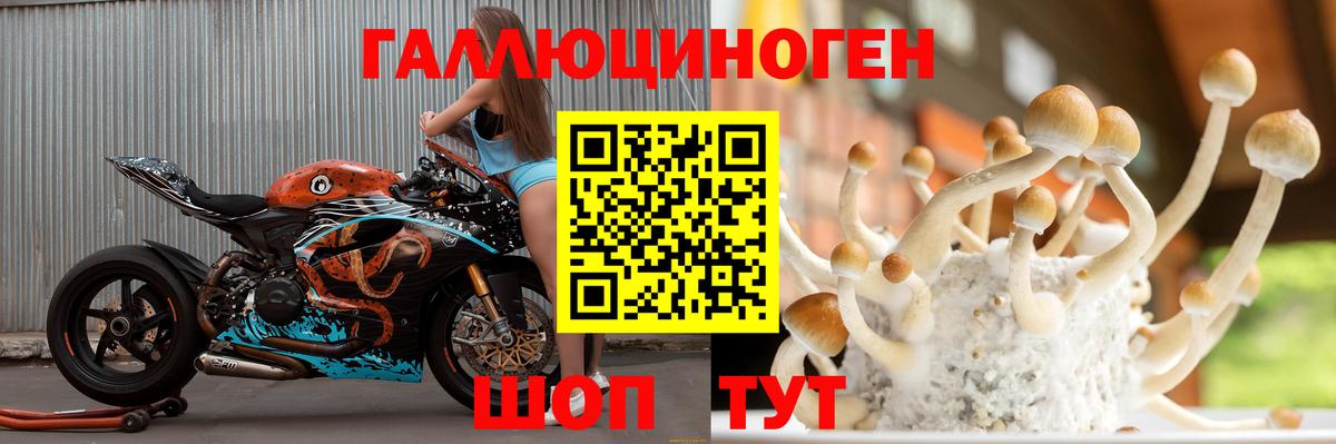 Галлюциногенные грибы ЛСД  Вход с VPN  Славянск-на-Кубани  Галлюциногенные грибы Cubensis 